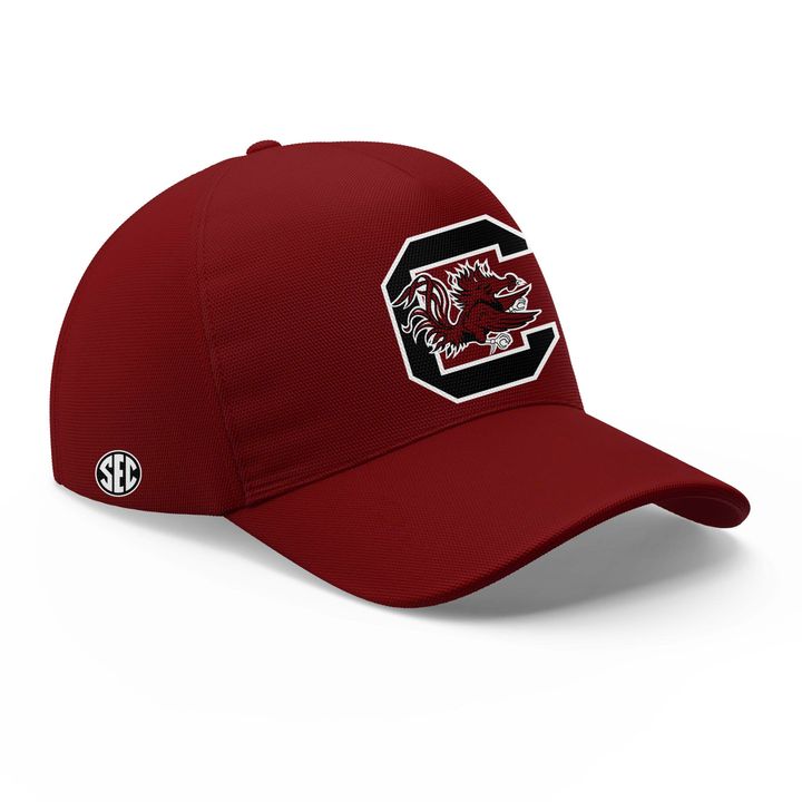 Special 2026 Red Uniform South Carolina Football Hoodie